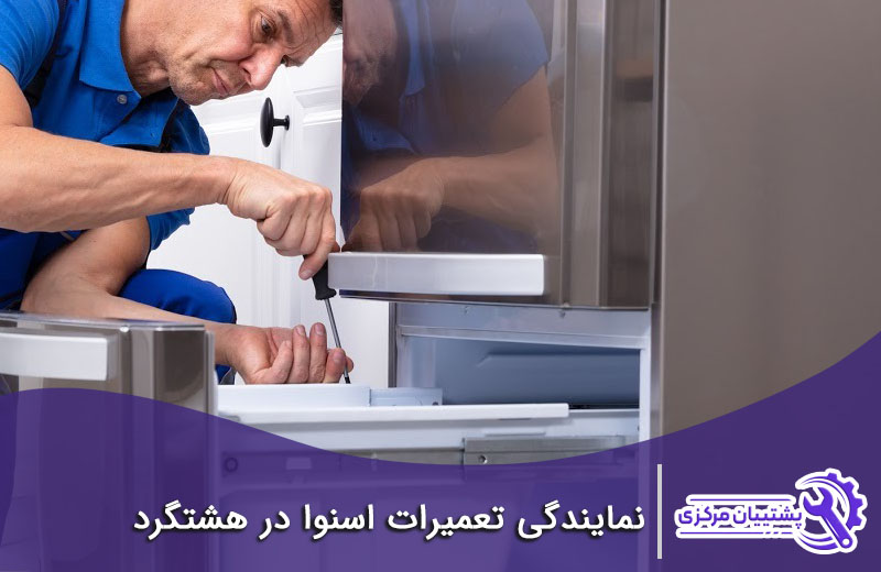 نمایندگی تعمیرات اسنوا در هشتگرد